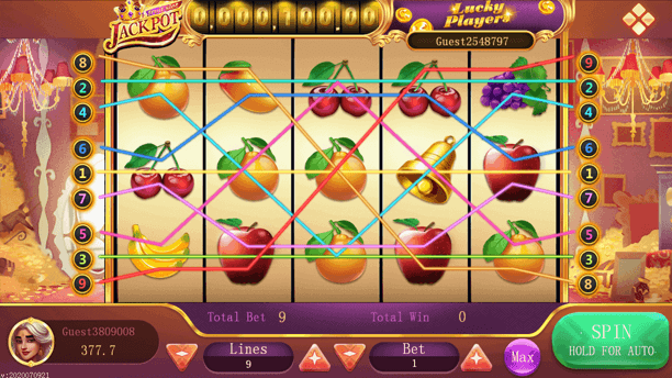 Dragon Tiger Club exclusive VIP feature highlights